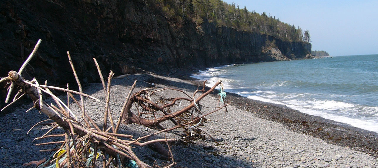 Aquatic Resources & Fisheries Management