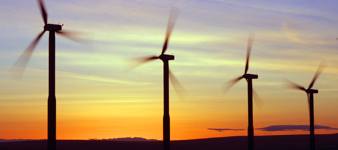 Mainland Mi'kmaq Development Inc.